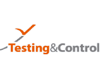 Testing&Control 2025. Чемпионат